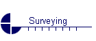 Surveying